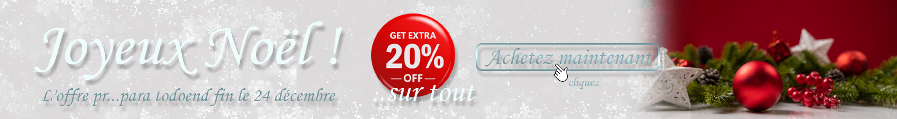 Joyeux Noël !